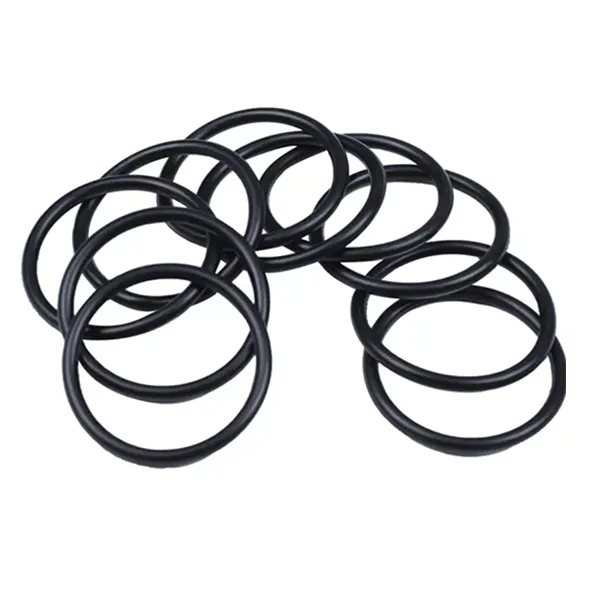  Endoscopes O-Ring 