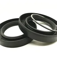 Generator Oil Seals